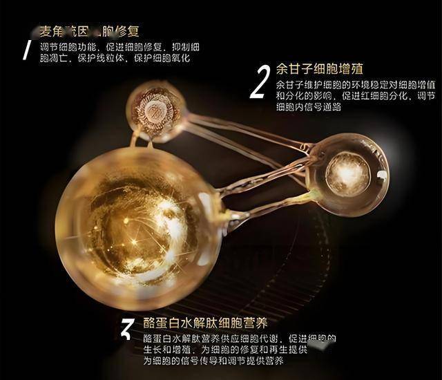 蓝莓市场外汇掌握这几点，轻松实现程序交易测试的高效运作